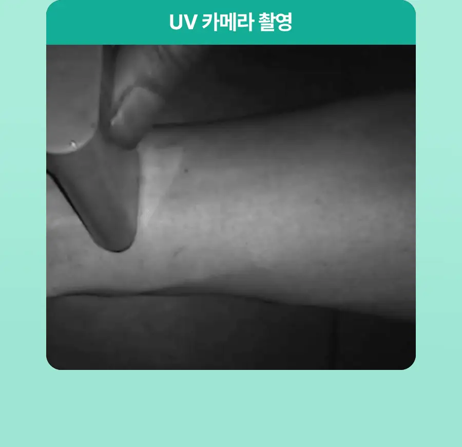 [포켓몬 에디션] 토리든 밸런스풀 포맨 시카 오일 컨트롤 선스틱 20g 기획(+이상해씨 러기지택, 올인원 20g) 상세페이지 17